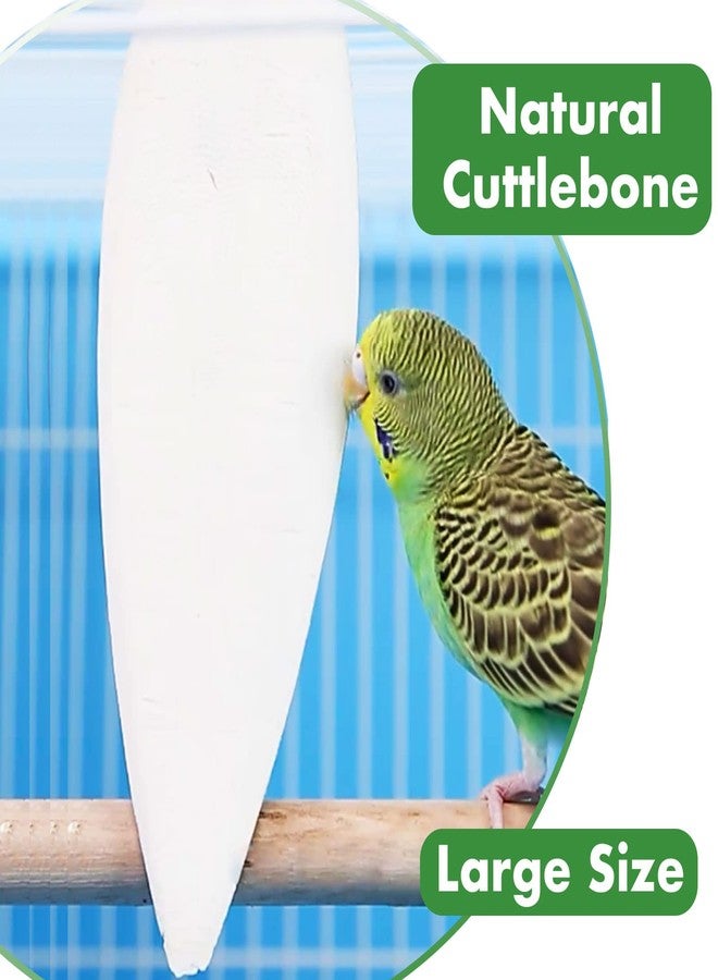 Mivofun 2 Pack Big Cuttlebones for Birds Parakeets Cockatiels African Greys All Parrots Tortoise Snails Animals, 6.3-6.5inch Large Cuttlefish Bones with Holder for Bird Cage - Image 3